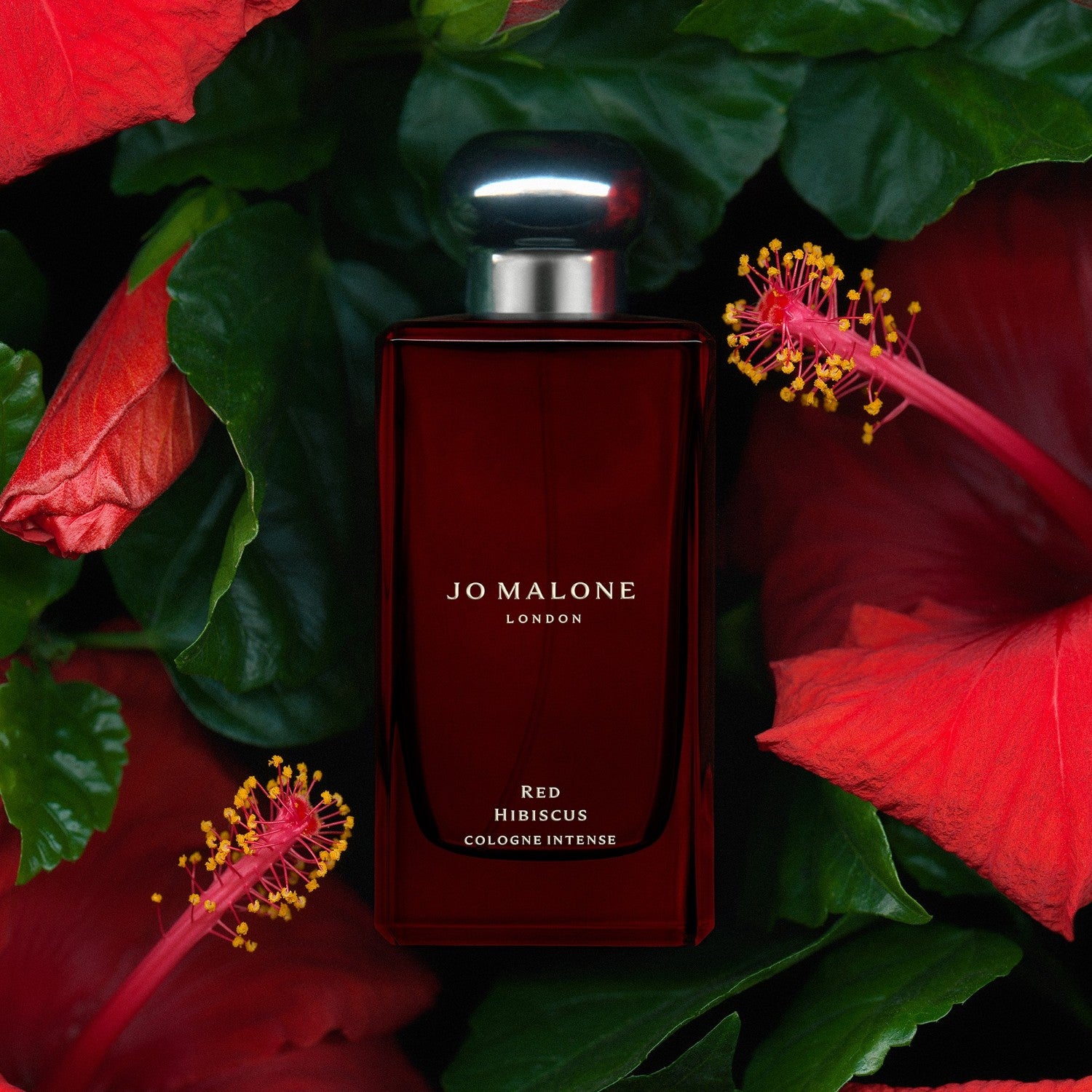 Jo Malone Red Hibiscus Cologne Intense Spray 100 ml