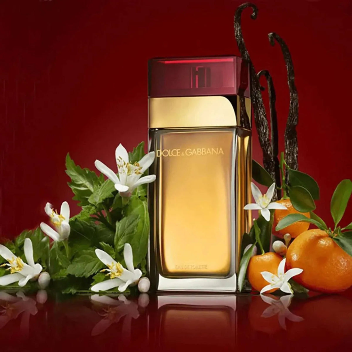 Dolce & Gabbana Pour Femme Eau de Toilette Spray 100ml Donna - Image 3