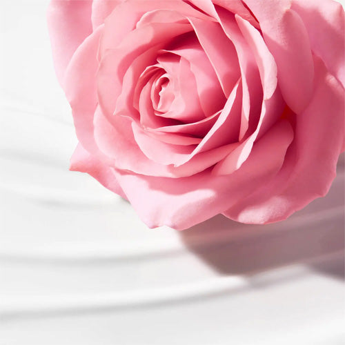 Very Rose Latte Struccante Vellutato