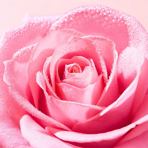 Very Rose Tonico Spray Fresco Idratante Viso